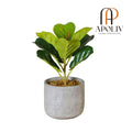 Apoliv - PANUCO POTTED FAUX FIDDLE PLANT