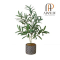 Apoliv - MADERO POTTED FAUX OLIVE PLANT