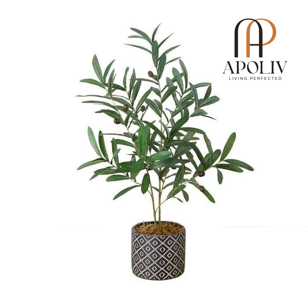 Apoliv - MADERO POTTED FAUX OLIVE PLANT