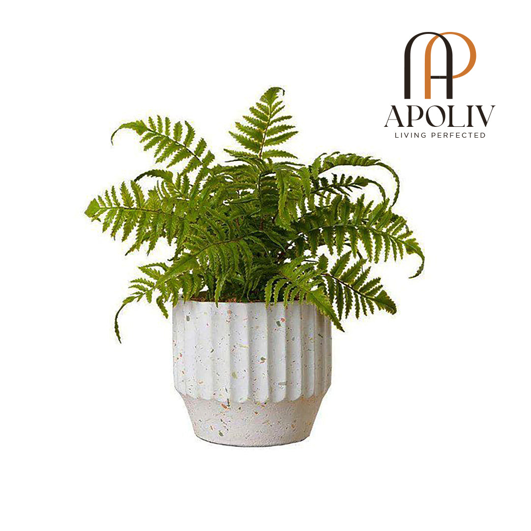Apoliv - KUWU POTTED FAUX FERN