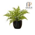 Apoliv - DASA POTTED FAUX FERN