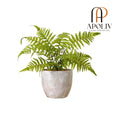 Apoliv - BERA POTTED FAUX FERN