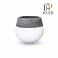 Apoliv - ZAMORA CEMENT PLANTER