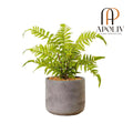 Apoliv - KUTA POTTED FAUX FERN