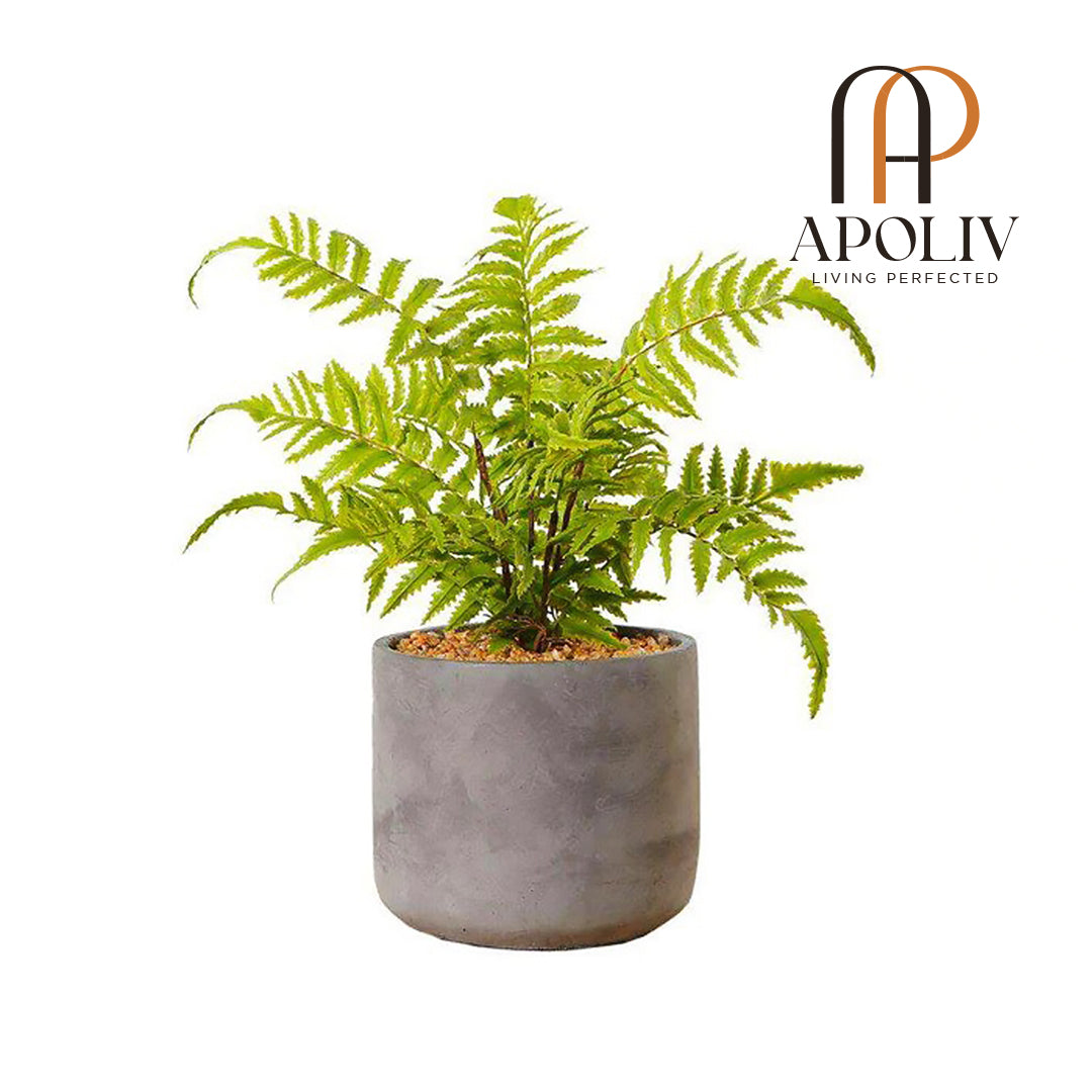 Apoliv - KUTA POTTED FAUX FERN