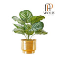 Apoliv - CALATHEA FAUX POTTED PLANT