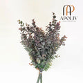Apoliv - MERIDA ARTIFICIAL PURPLE & GREEN EUCALYPTUS BOUQUET 12.5'' X 12'