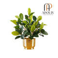 Apoliv - MORENO POTTED FAUX WATERCRESS PLANT