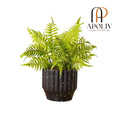 Apoliv - JULA POTTED FAUX FERN
